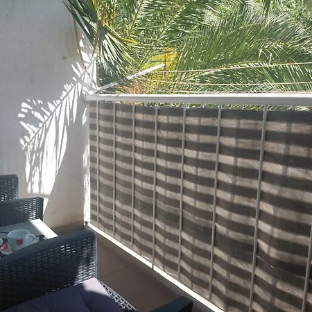 Sunny